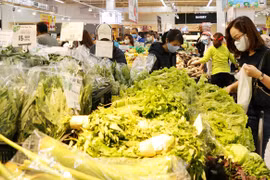 河内与各地方商品供需对接：促进国内消费
