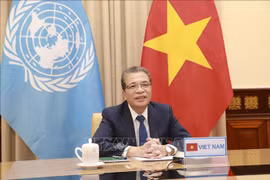 越南呼吁国际社会协助巴勒斯坦克人民克服危机