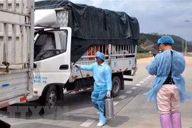 越南工贸部部长与广西壮族自治区党委书记通电话 就促进经贸合作深入交换意见
