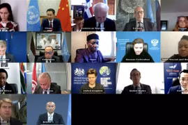 越南与联合国安理会：越南再次强调对促进中东地区裁军和不扩散核武器的支持