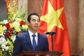 越南与联合国安理会：联合国安理会就疫情和安全问题举行公开辩论