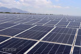 宁顺省Solar Farm太阳能发电厂正式竣工投运