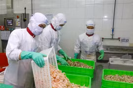 2020年越南水产品对欧盟出口额将下降20%