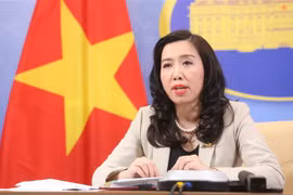 越南努力解决在海外的越南公民回国的需求