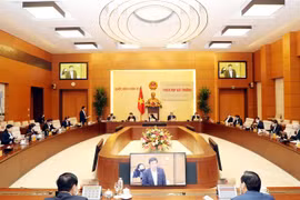 国会常委会特别会议：需为因新冠肺炎疫情遭遇困境的民众制定特殊援助政策