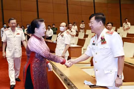阮氏金银会见维护国家安全先进集体和个人代表团
