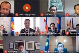 2020东盟主席年：东盟与联合国核查合作活动