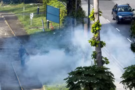 新加坡登革热疫情继续恶化