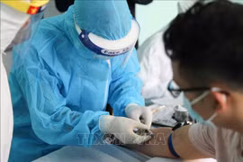 德国媒体：越南努力应对新冠肺炎疫情再次爆发