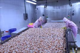 《越南与欧盟自由贸易协定》助力欧洲经济复苏和创造就业机会