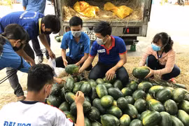 永隆省寻找农产品销售新市场
