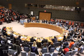 越南与联合国安理会：联合国安理会上半年的活动盘点及越南的作用和贡献