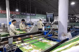 世行：越南迎来吸引大量外资的机会