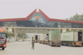 新冠肺炎疫情：配合控制各口岸的货物运输工具