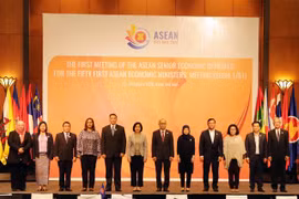 东盟经济高官会2020年第一次会议在河内举行