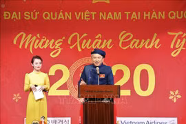 在香港等地越南人喜迎新春