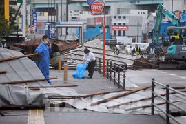 越南驻日本福冈总领事馆同日本有关部门配合寻找在台风中失踪的2名越南研修生