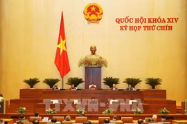 越南第十四届国会第九次会议：建议早日解决五大问题