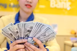 3月24日越盾对美元汇率中间价连续第八次上调