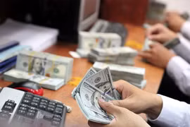 4月20日越盾对美元汇率中间价下调3越盾