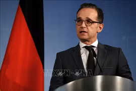 德国外长海科·马斯：越南对欧盟确定与亚洲合作方向起着举足轻重的作用