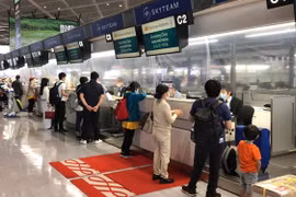 新冠肺炎疫情：越南将350多名越南公民从日本接回国