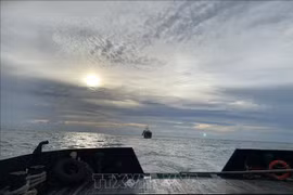 越南海军189潜艇旅成功营救在海上遇险的俄罗斯苏克尔货船