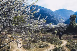 西北木州高原