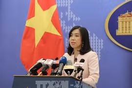 越南愿意与各国合作进一步有效打击人口贩运的犯罪行为