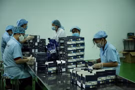 与众不同的产品助力胡志明市企业推动出口