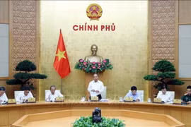 越南政府与各地方全国视频会议发表决议