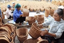 职业培训助力新农村建设