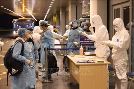 新冠肺炎疫情：越航为旅居欧洲越南公民回国创造最为便利的条件
