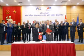 越南-欧洲企业理事会问世