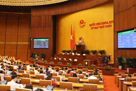 越南第十四届国会第九次会议：继续开展人事任免工作