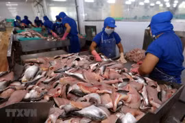 越南查鱼出口额下降39%