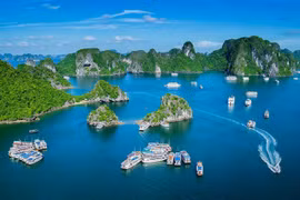 “独自旅行探索越南” 入围2019年东南亚十大最具吸引力旅游产品