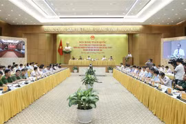 张和平副总理：坚决调整处理“为虎作伥”的干部、公务员