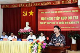 国会主席阮氏金银：国会十分关注九龙江三角洲地区基础设施投资工作