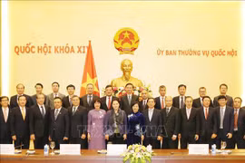 国会主席阮氏金银会见越南驻外大使和代表机构首席代表