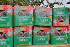 广治省边防查处一起非法运输65公斤烟花案件