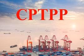 CPTPP生效一年后带来切实利益