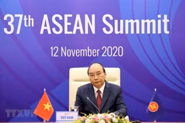印度教授：美国通过越南担任东盟轮值主席国的作用与东盟加强合作