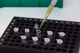 中央儿童医院具备开展新冠病毒核酸检测的能力