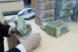 越南国会常务委员会颁发关于2019年中央预算收入增加的决议