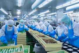 越南企业对第四季度生产与销售情况充满乐观