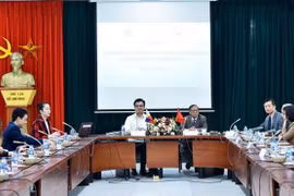 越南与菲律宾战略伙伴关系：成就和展望 
