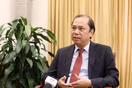 2020年东盟年：东盟团结协作抗击疫情