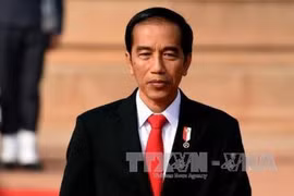 印尼总统强调投资是促进经济增长的关键所在