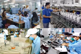 建党90周年：私人经济是越南经济的重要动力——为私人经济发展铺平道路（第二期）